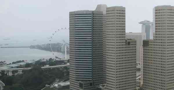 外国语单招大数据的行业文章