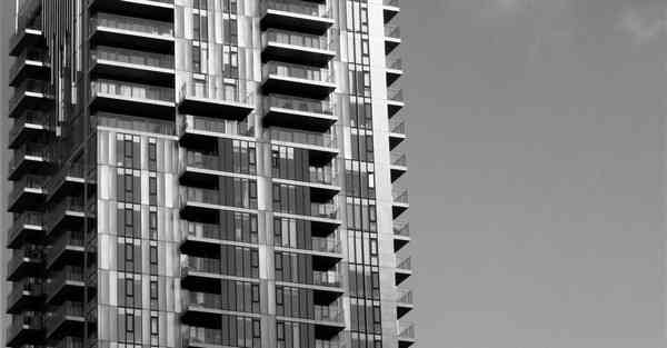 外国语单招大数据的行业文章