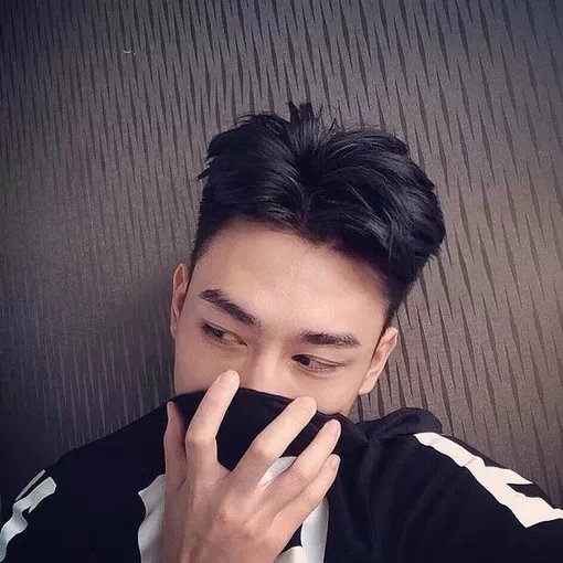 蒲若鹏丽