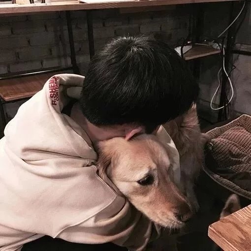 司徒琛翠晴