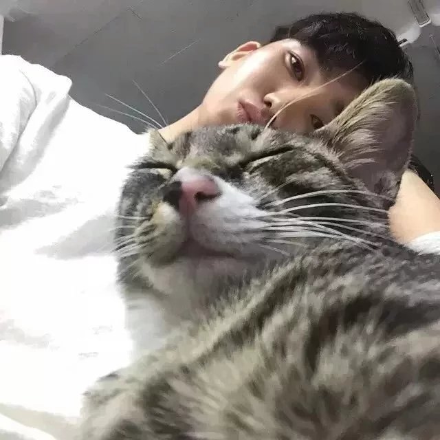 金蓝艺成