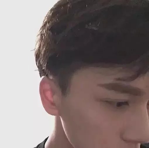 茅毅婕义